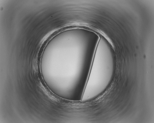 X0000086110972200703231112