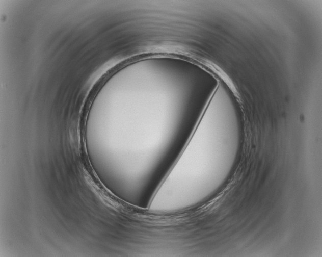 X0000086110980200703231112