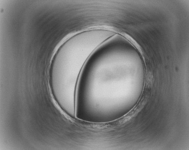 X0000086111005200703231111