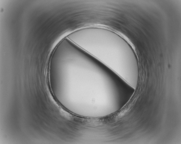 X0000086111007200703231111