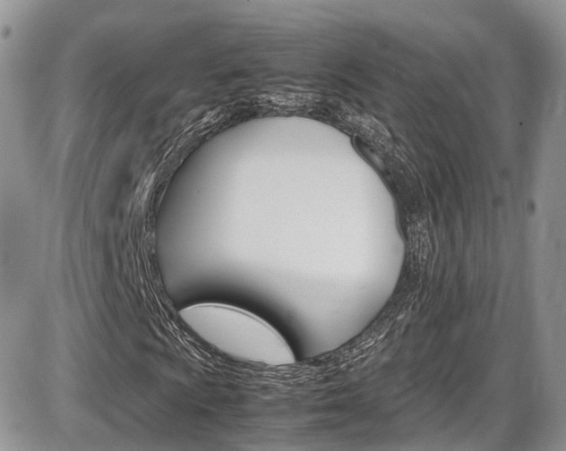 X0000086111009200703231111