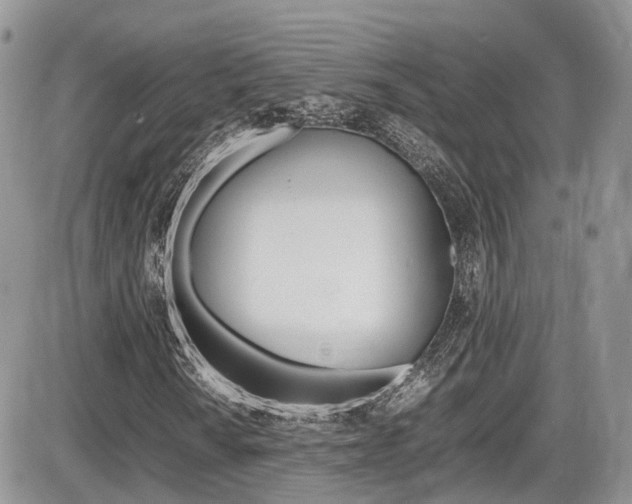 X0000086111010200703231111