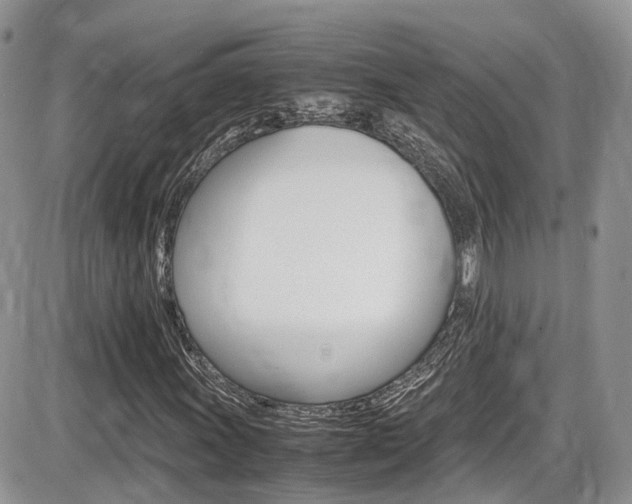 X0000086111011200703231111