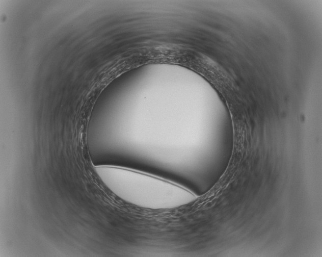 X0000086111013200703231111