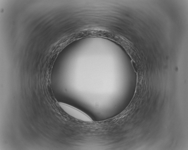 X0000086111014200703231111