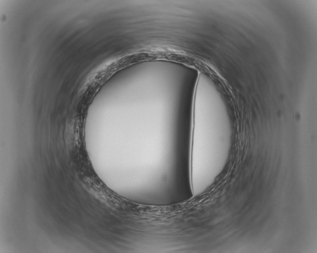 X0000086111016200703231111