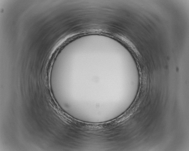 X0000086111023200703231111