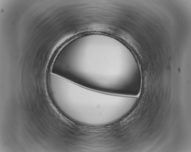 X0000086111024200703231111