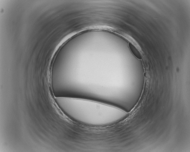 X0000086111044200703231111