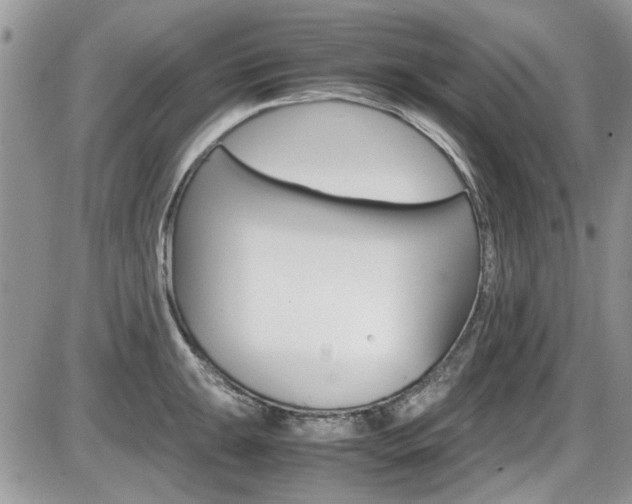 X0000086111047200703231111