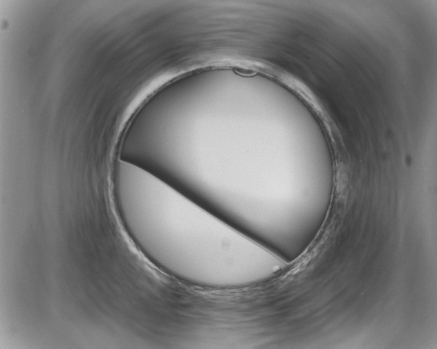 X0000086111048200703231111