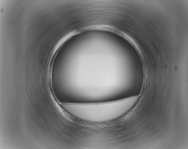 X0000086111050200703231111