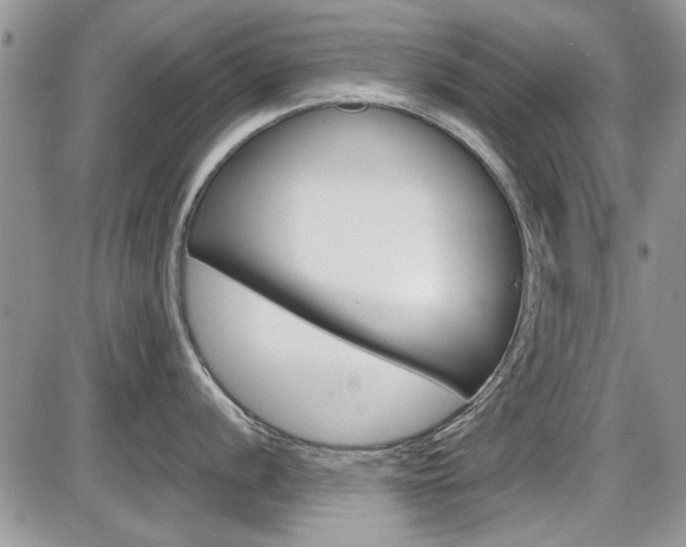X0000086111056200703231111