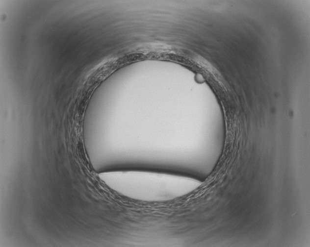 X0000086111063200703231110