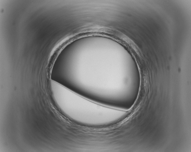 X0000086111069200703231110