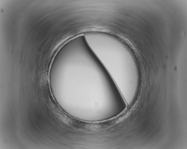 X0000086111073200703231110