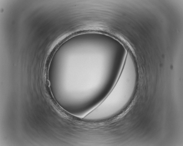 X0000086111077200703231110