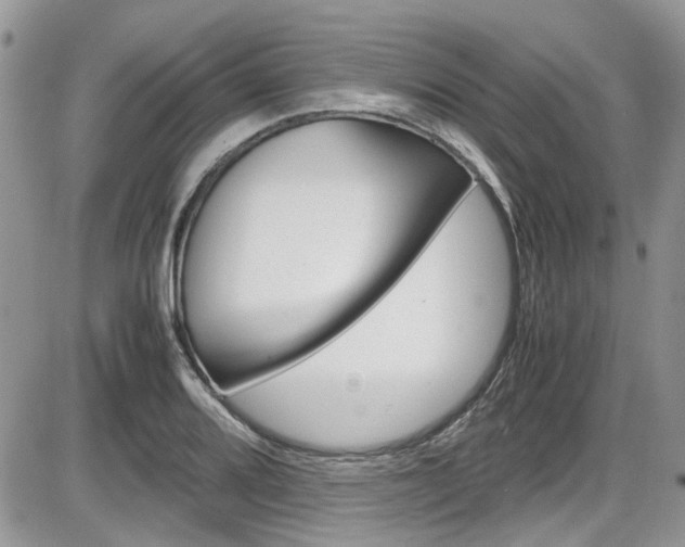 X0000086111080200703231110