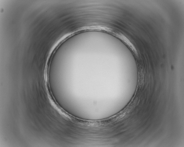 X0000086111084200703231110