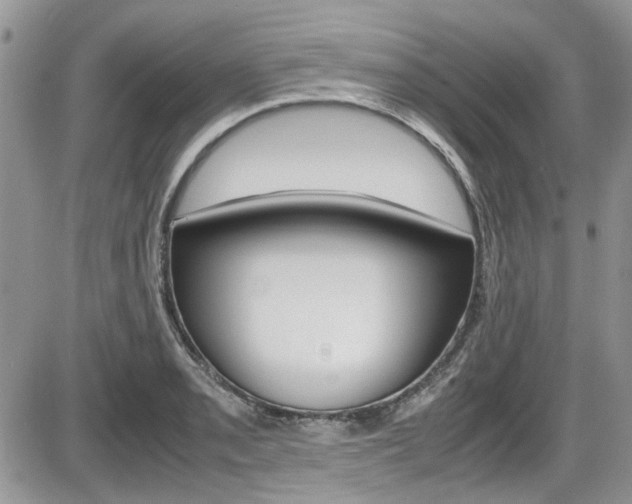 X0000086111085200703231110