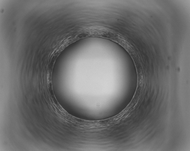 X0000086111108200703231109