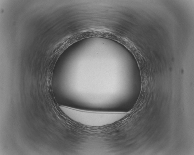 X0000086111110200703231109