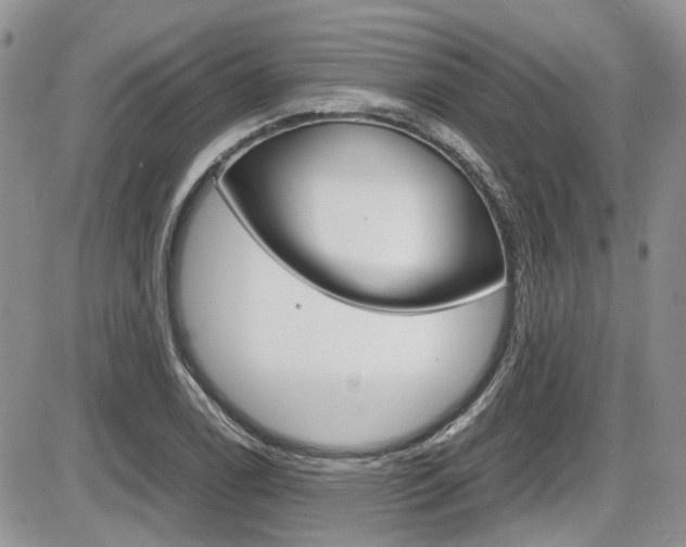 X0000086111122200703231109