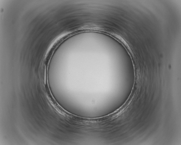 X0000086111123200703231109