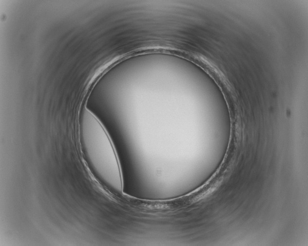 X0000086111129200703231109