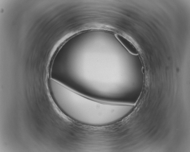 X0000086111136200703231109