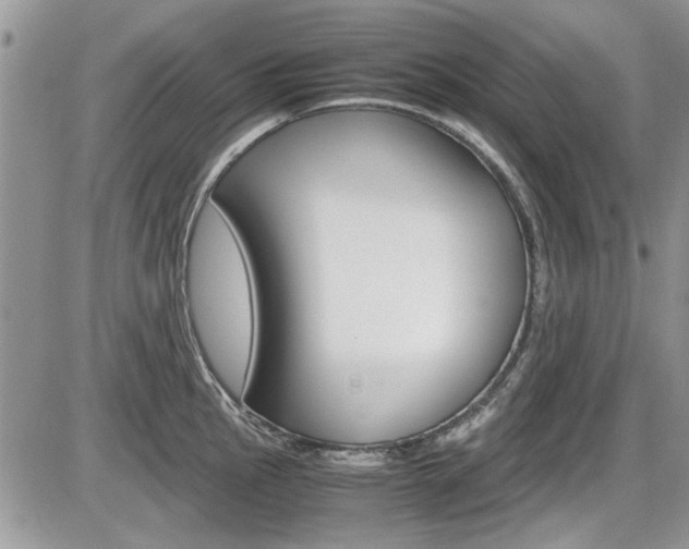 X0000086111145200703231110