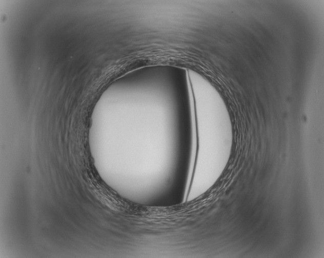 X0000086111153200703231109