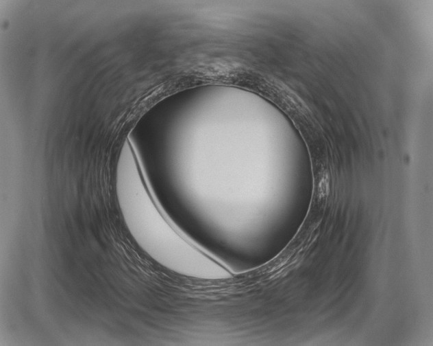 X0000086111156200703231109