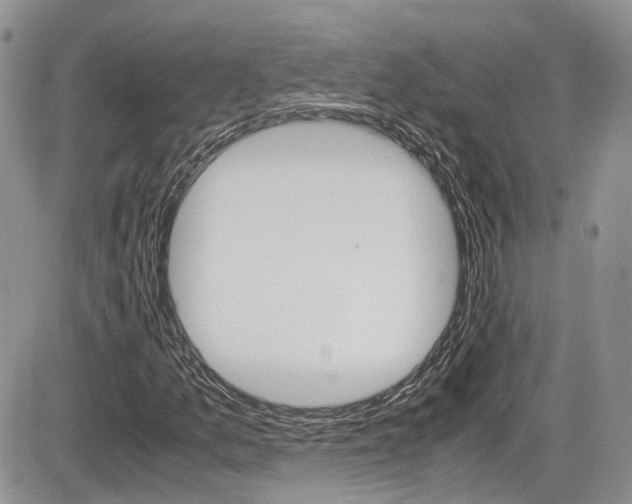X0000086111157200703231109