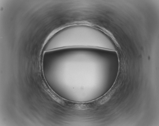 X0000086111176200703231109