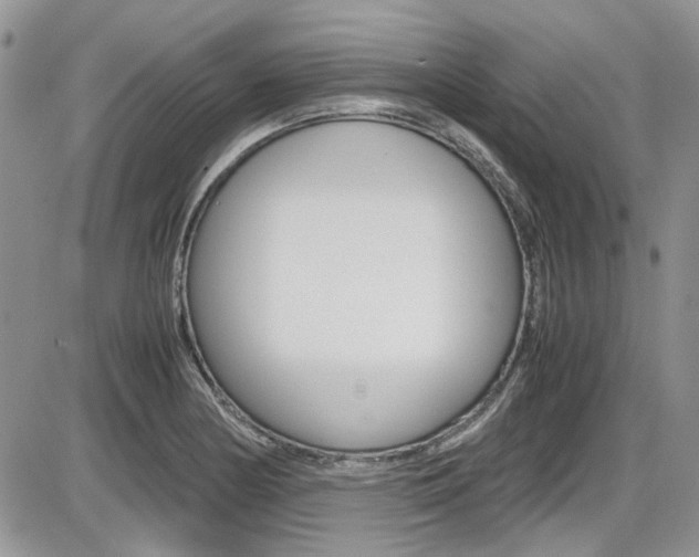 X0000086111178200703231108