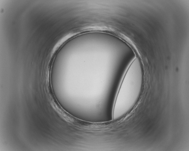 X0000086111179200703231108