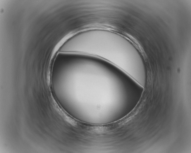 X0000086111188200703231108