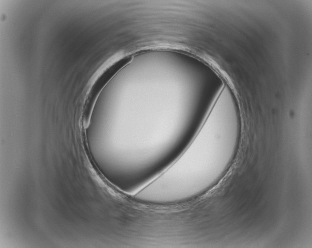 X0000086111189200703231108