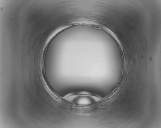 X0000086111195200703231108