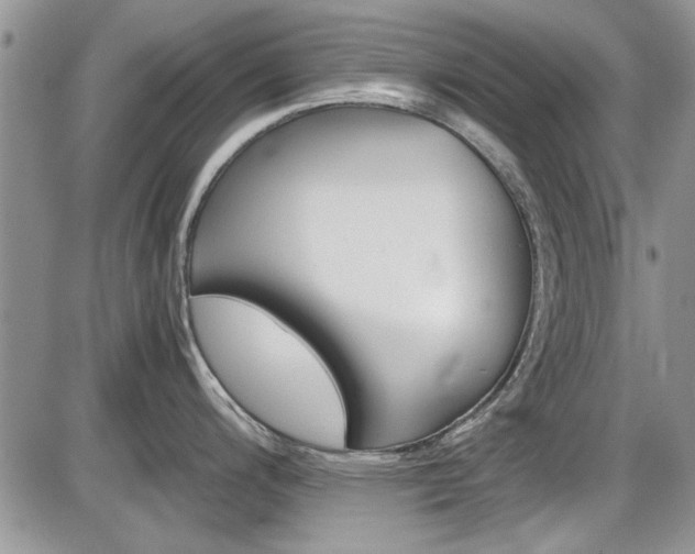 X0000086111200200703231108