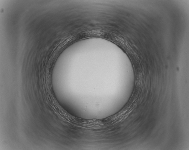 X0000086111201200703231107
