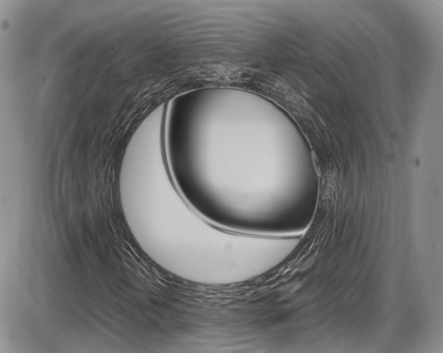 X0000086111202200703231107