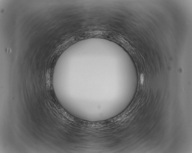 X0000086111203200703231107
