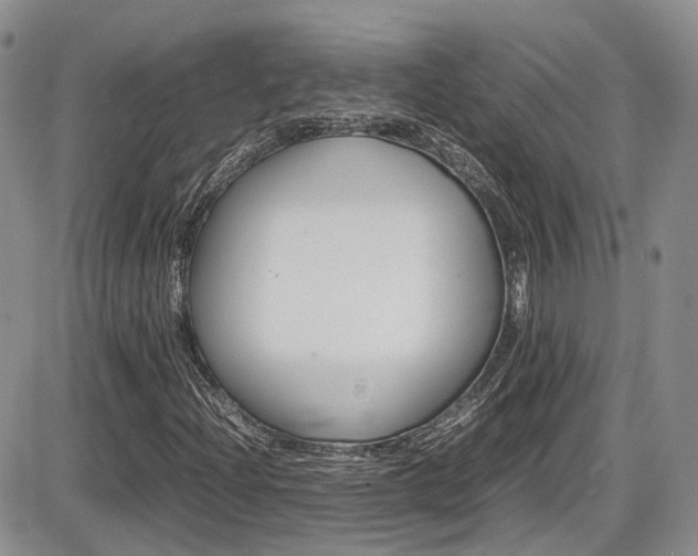 X0000086111204200703231107