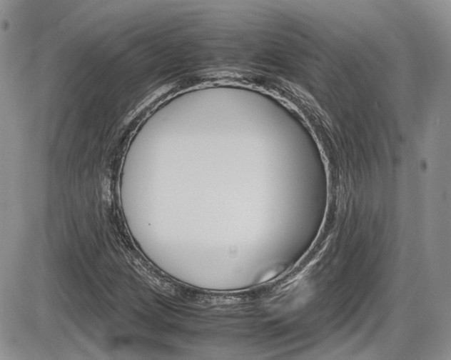 X0000086111209200703231107