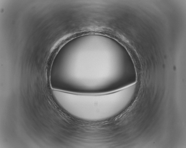 X0000086111214200703231108