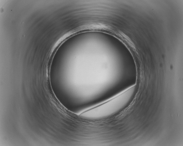 X0000086111226200703231108