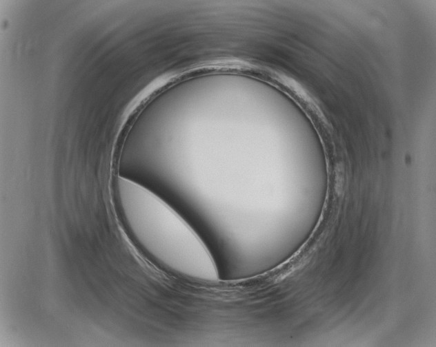 X0000086111229200703231108