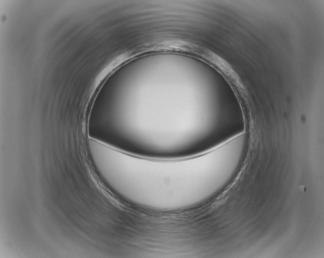 X0000086111234200703231108